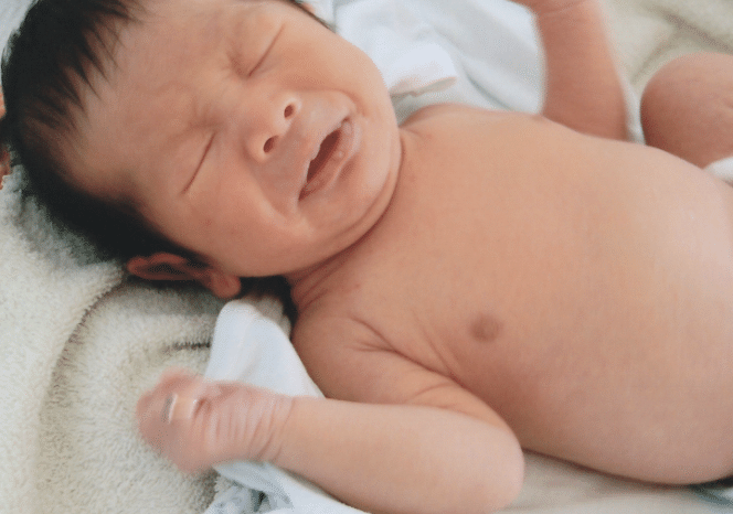 スクリーンショット 2021-09-26 11.31.26